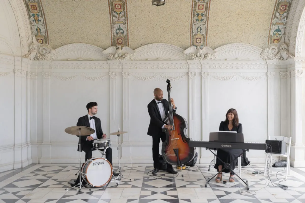 The Jazz Dudes is a dynamic trio or duo ensemble that fuses refined talent and diverse musicality.